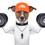 Reverse Mergers l Going Public Bootcamp